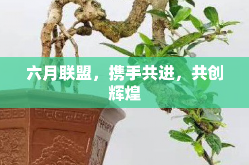 六月联盟图片