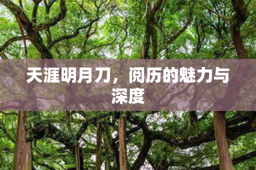 阅历的魅力与深度图片