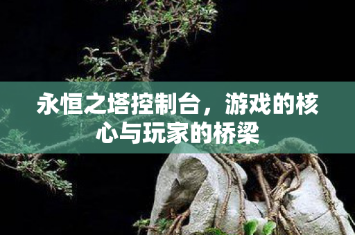 游戏的核心与玩家的桥梁图片