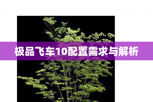 极品飞车10配置需求与解析图片