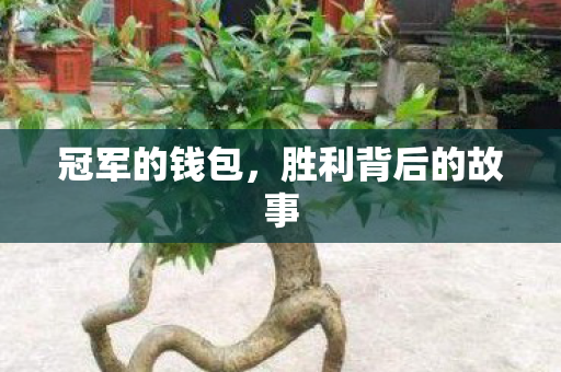 胜利背后的故事图片