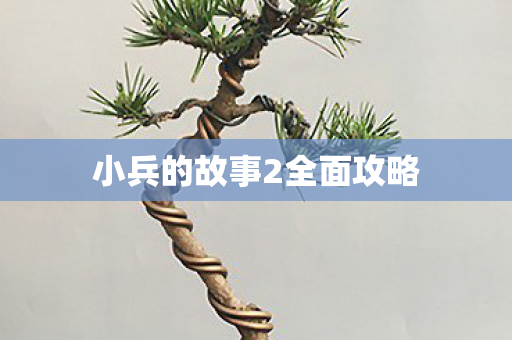 小兵的故事2全面攻略图片