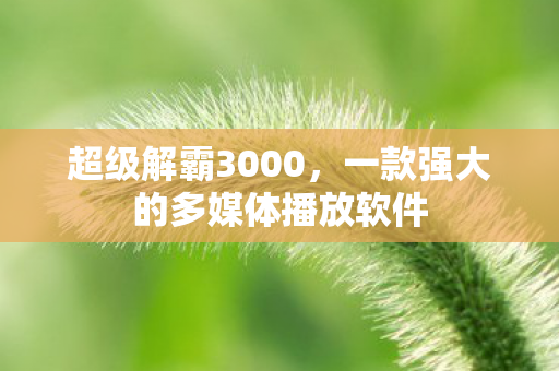一款强大的多媒体播放软件图片