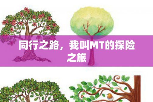 我叫MT的探险之旅图片