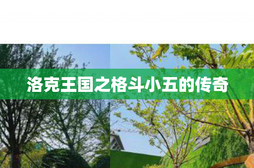 洛克王国之格斗小五的传奇图片
