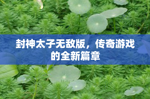 传奇游戏的全新篇章图片