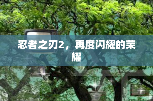 再度闪耀的荣耀图片