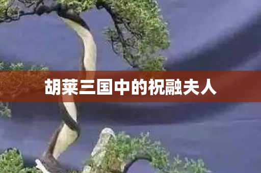 胡莱三国中的祝融夫人图片