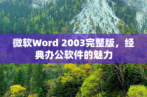 微软Word 2003完整版图片