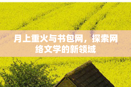 探索网络文学的新领域图片
