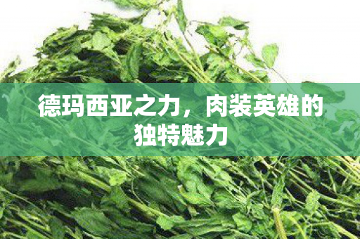 肉装英雄的独特魅力图片