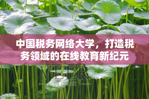 打造税务领域的在线教育新纪元图片
