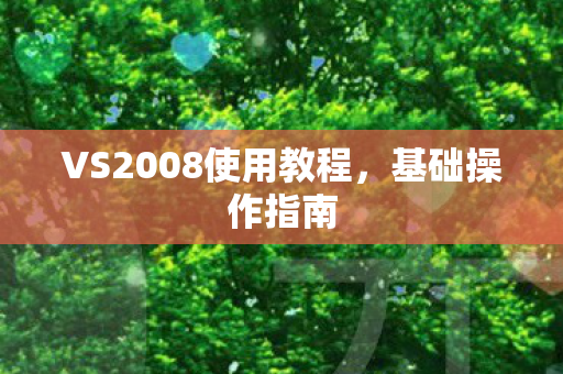 VS2008使用教程图片