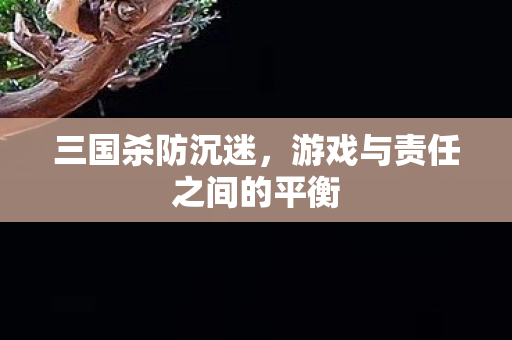 游戏与责任之间的平衡图片