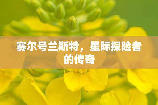 星际探险者的传奇图片