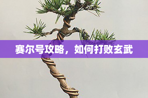 如何打败玄武图片
