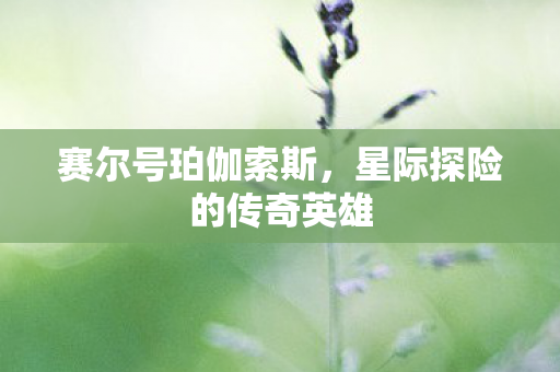 星际探险的传奇英雄图片