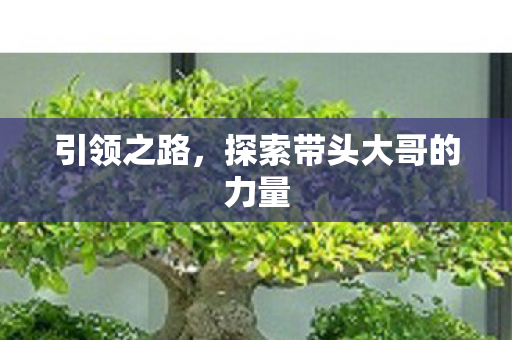 探索带头大哥的力量图片