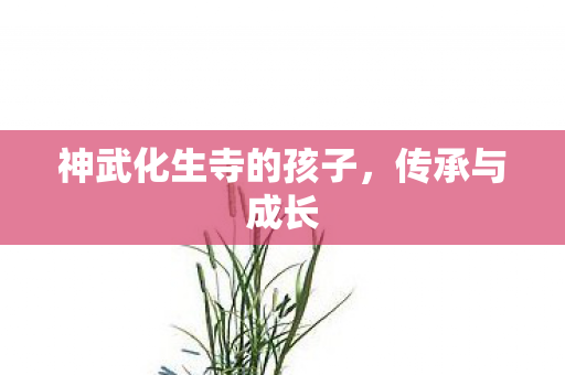 神武化生寺的孩子图片