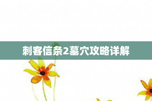 刺客信条2墓穴攻略详解图片