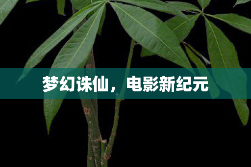电影新纪元图片
