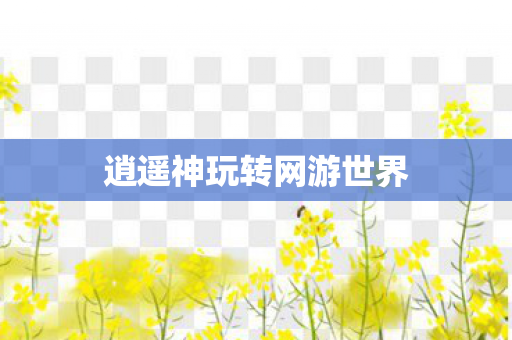 逍遥神玩转网游世界图片