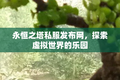 永恒之塔私服发布网图片