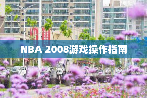 NBA 2008游戏操作指南图片