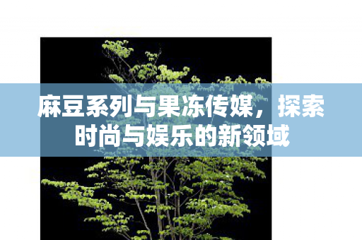 探索时尚与娱乐的新领域图片