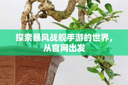 探索暴风战舰手游的世界图片