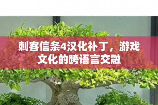 游戏文化的跨语言交融图片
