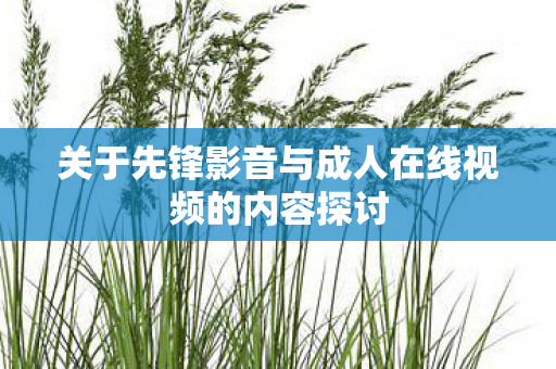 关于先锋影音与成人在线视频的内容探讨图片