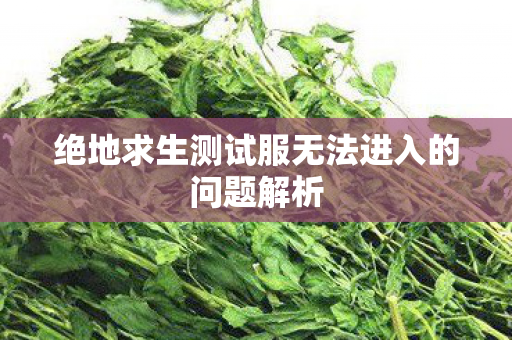 绝地求生测试服无法进入的问题解析图片