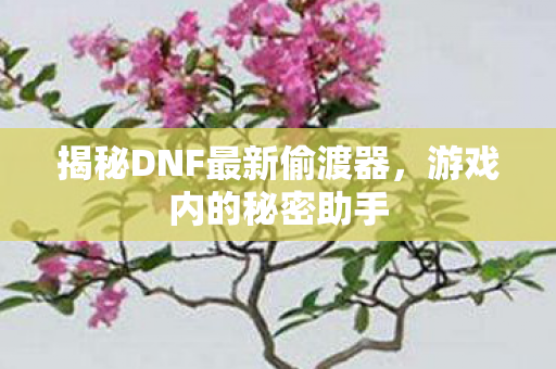 揭秘DNF最新偷渡器图片
