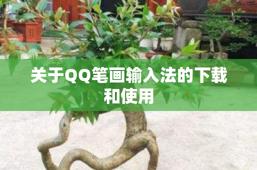 关于QQ笔画输入法的下载和使用图片