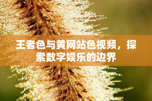 王者色与黄网站色视频图片