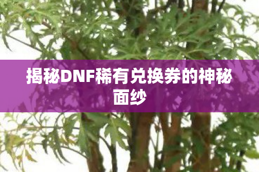 揭秘DNF稀有兑换券的神秘面纱图片