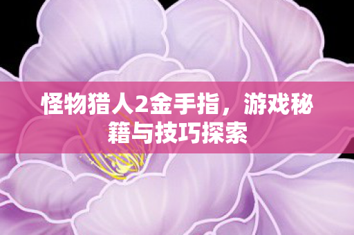 游戏秘籍与技巧探索图片