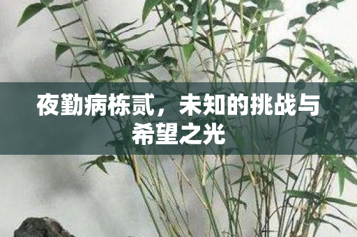 未知的挑战与希望之光图片