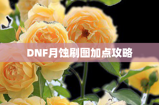 DNF月蚀刷图加点攻略图片