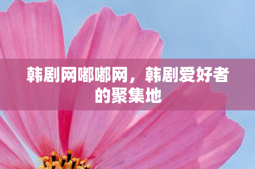 韩剧爱好者的聚集地图片