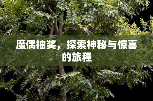 探索神秘与惊喜的旅程图片