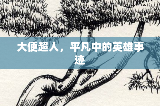 平凡中的英雄事迹图片