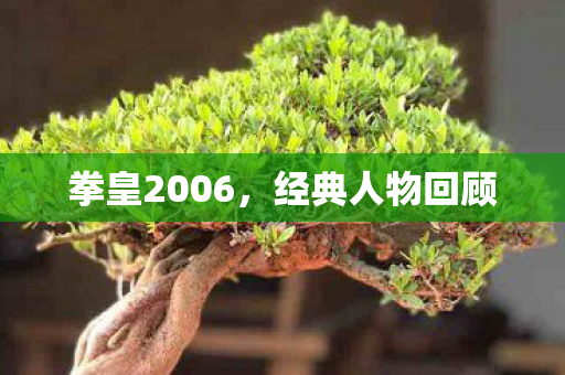 拳皇2006图片