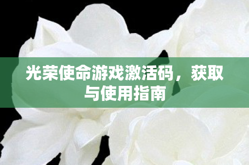 光荣使命游戏激活码图片