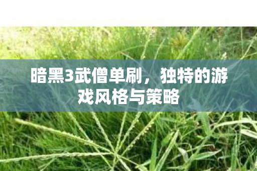 独特的游戏风格与策略图片