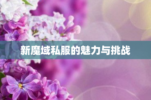 新魔域私服的魅力与挑战图片