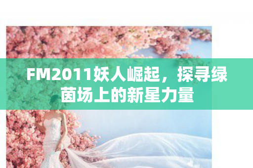 探寻绿茵场上的新星力量图片