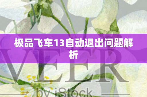 极品飞车13自动退出问题解析图片