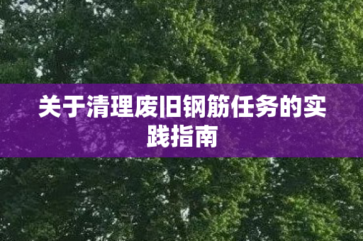 关于清理废旧钢筋任务的实践指南图片